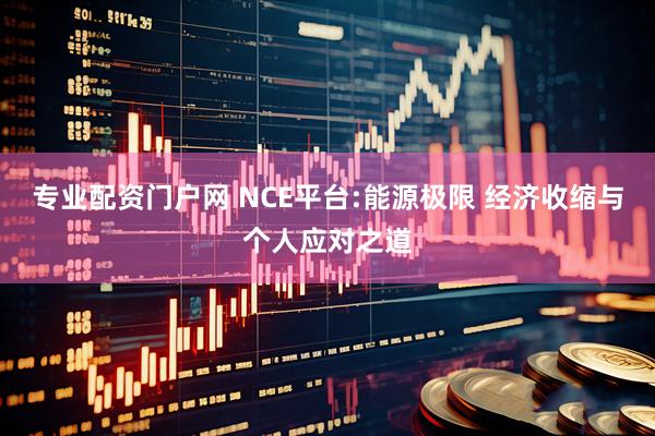专业配资门户网 NCE平台:能源极限 经济收缩与个人应对之道