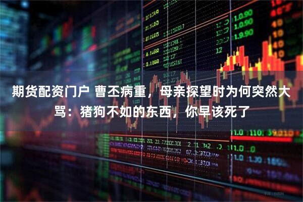 期货配资门户 曹丕病重，母亲探望时为何突然大骂：猪狗不如的东西，你早该死了